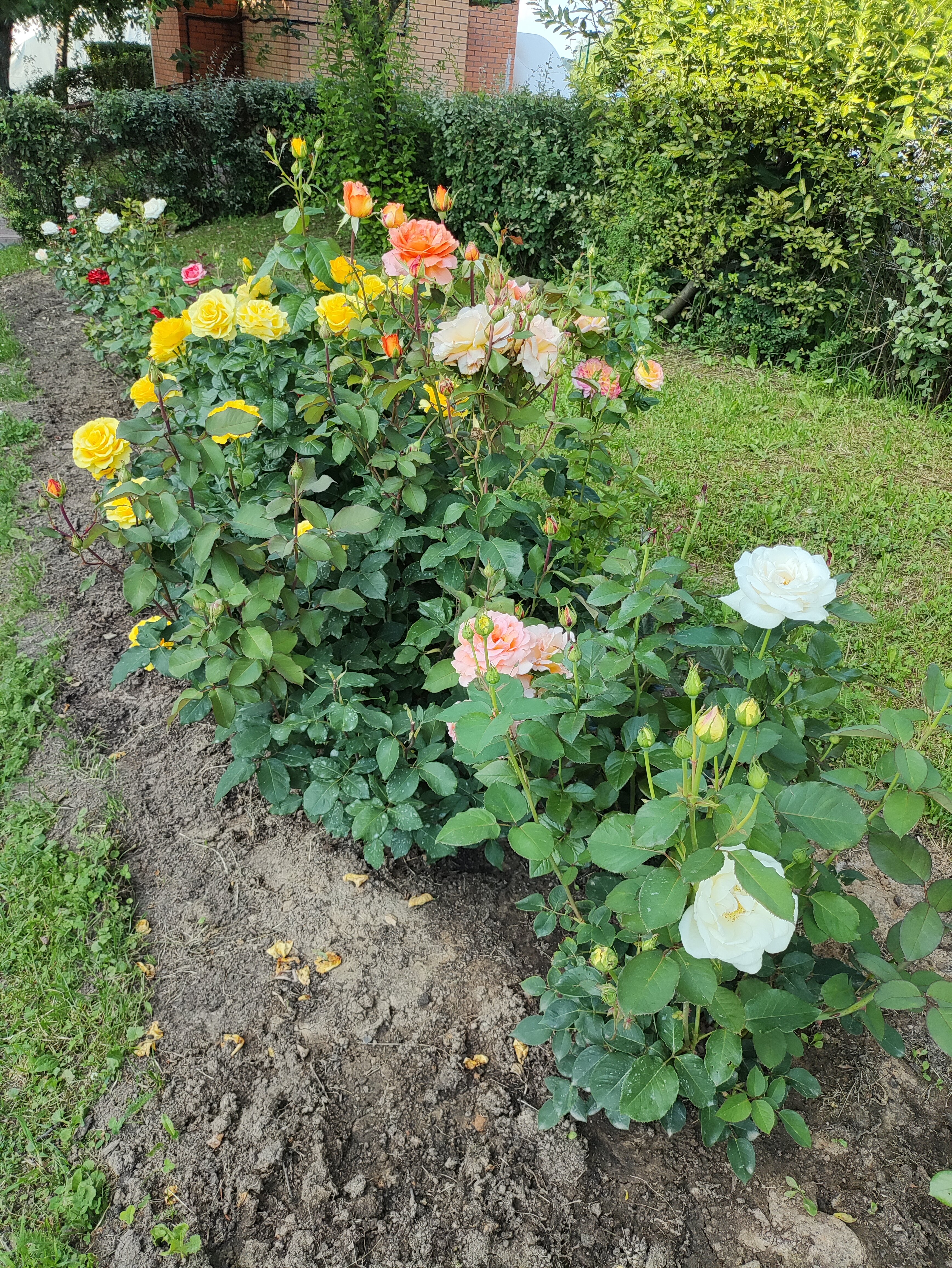 Фото Новый Берег