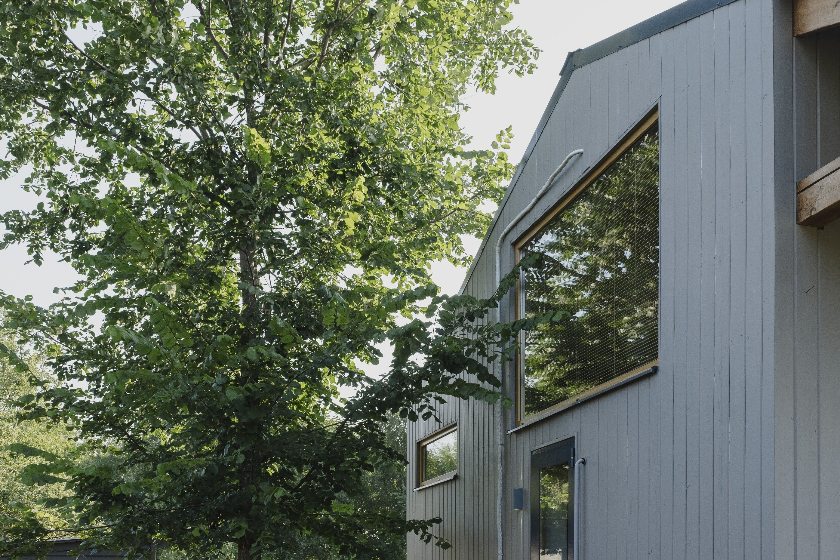 Фото Менчаково