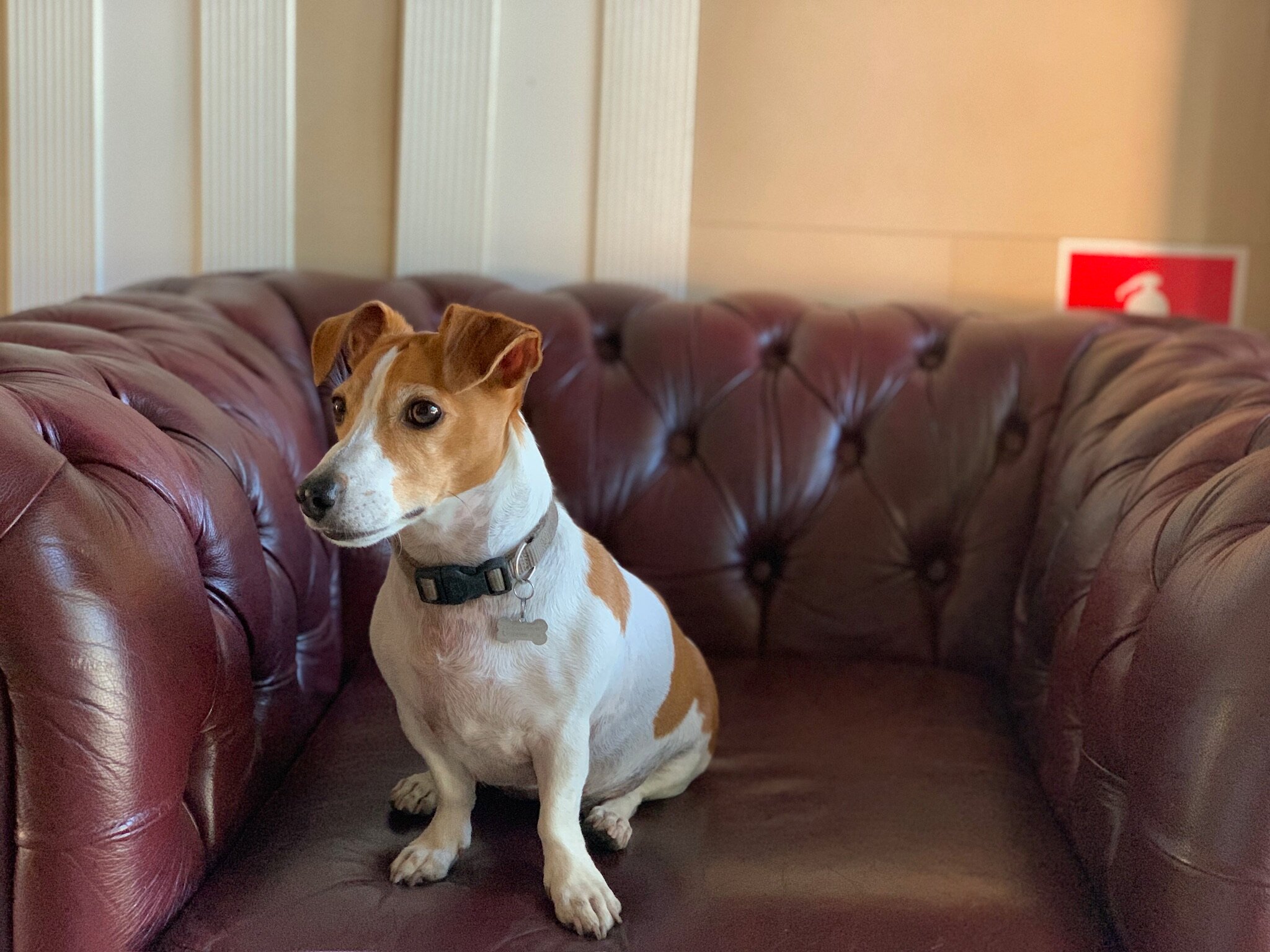 Фото Богемия