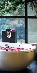 Фото Tivoli Mofarrej São Paulo Hotel