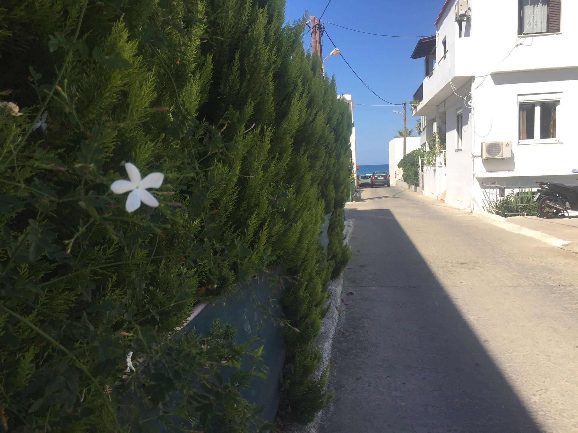 Фото Zannis Hotel