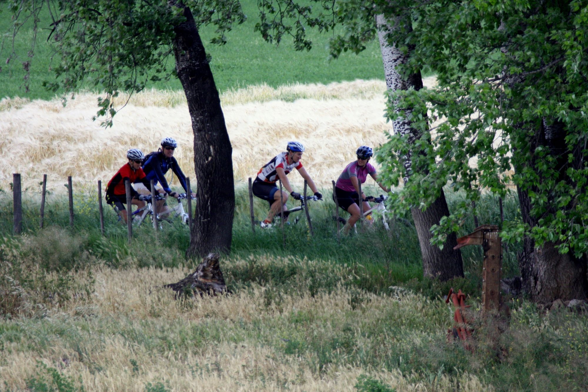 Фото Surval Boutique Olive Estate