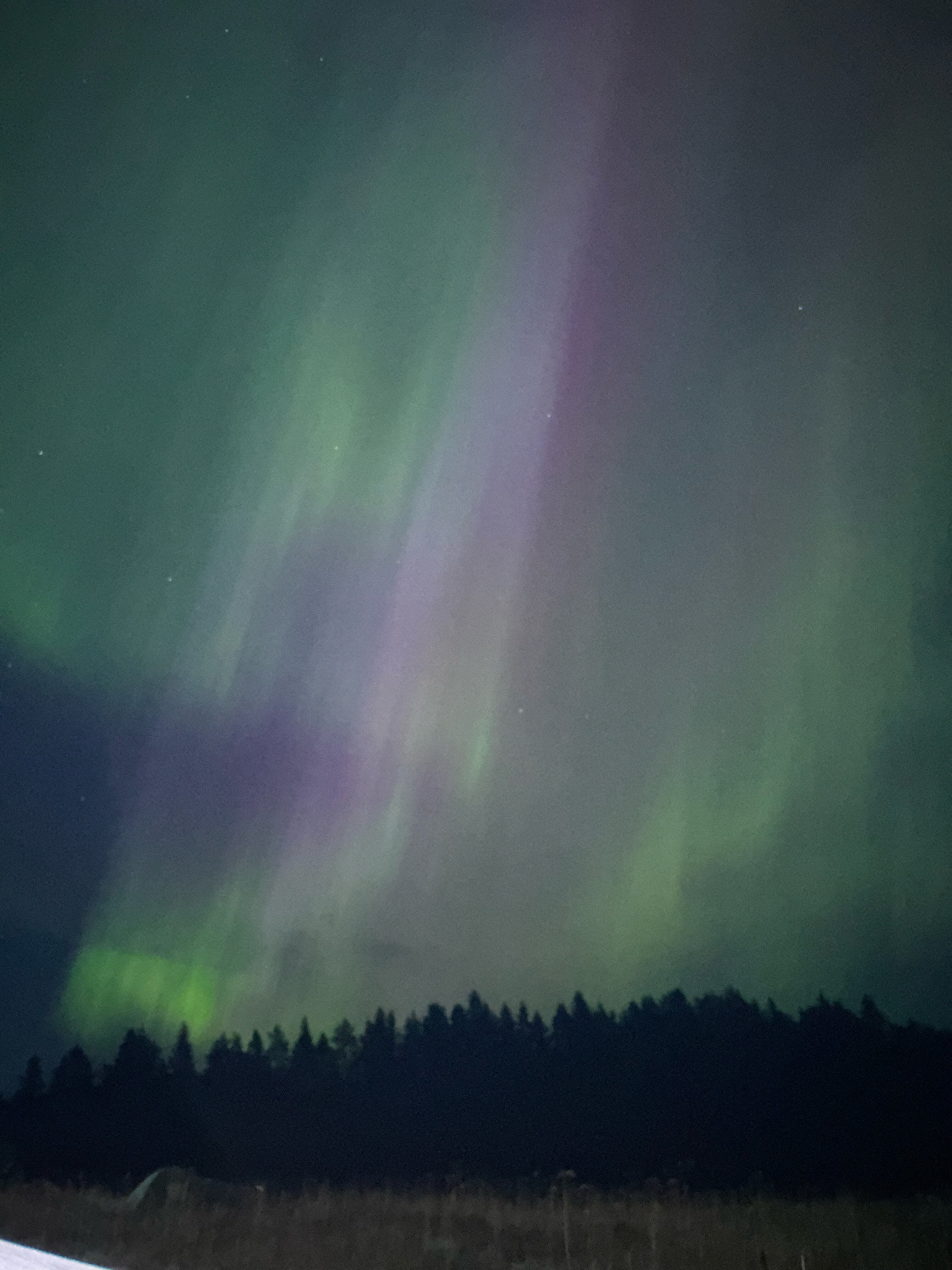 Фото Хутор ЛихKoff