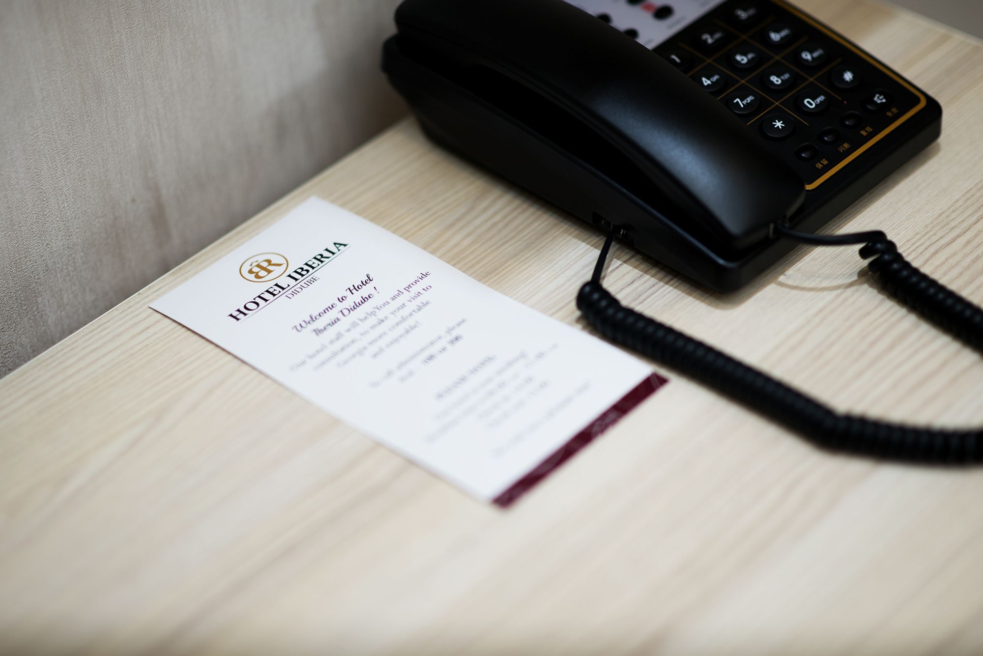 Фото Отель Iberia Didube