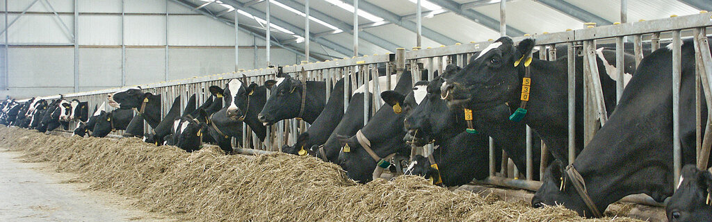 Agricultural machinery, equipment Agriculture World Domestic and Foreign, Konya, photo