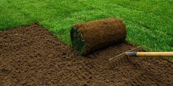 Disinfection, disinsection, deratization Pi Landscape Pest Control Engineering, Gebze, photo