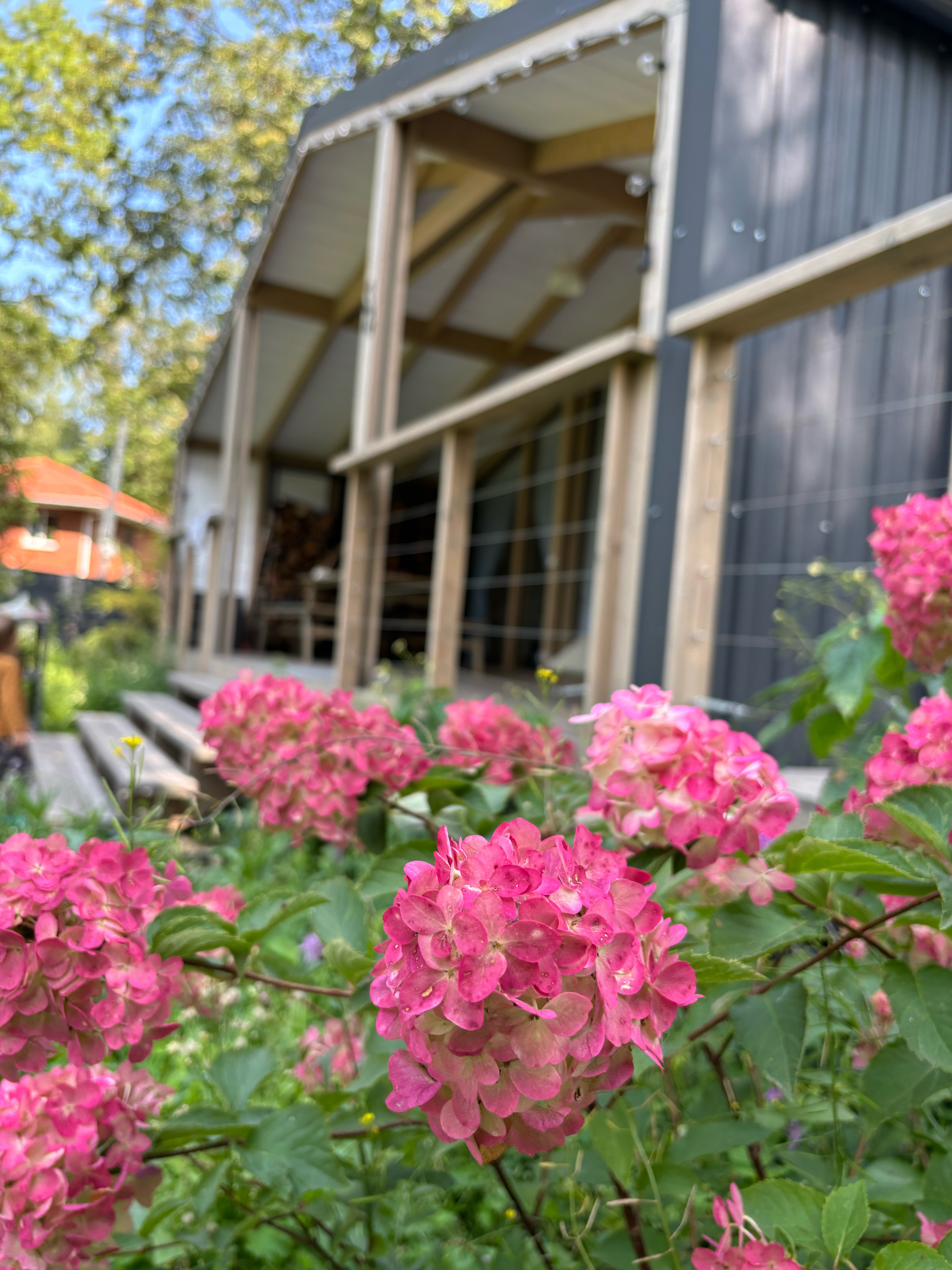 Фото ЧиллВилл