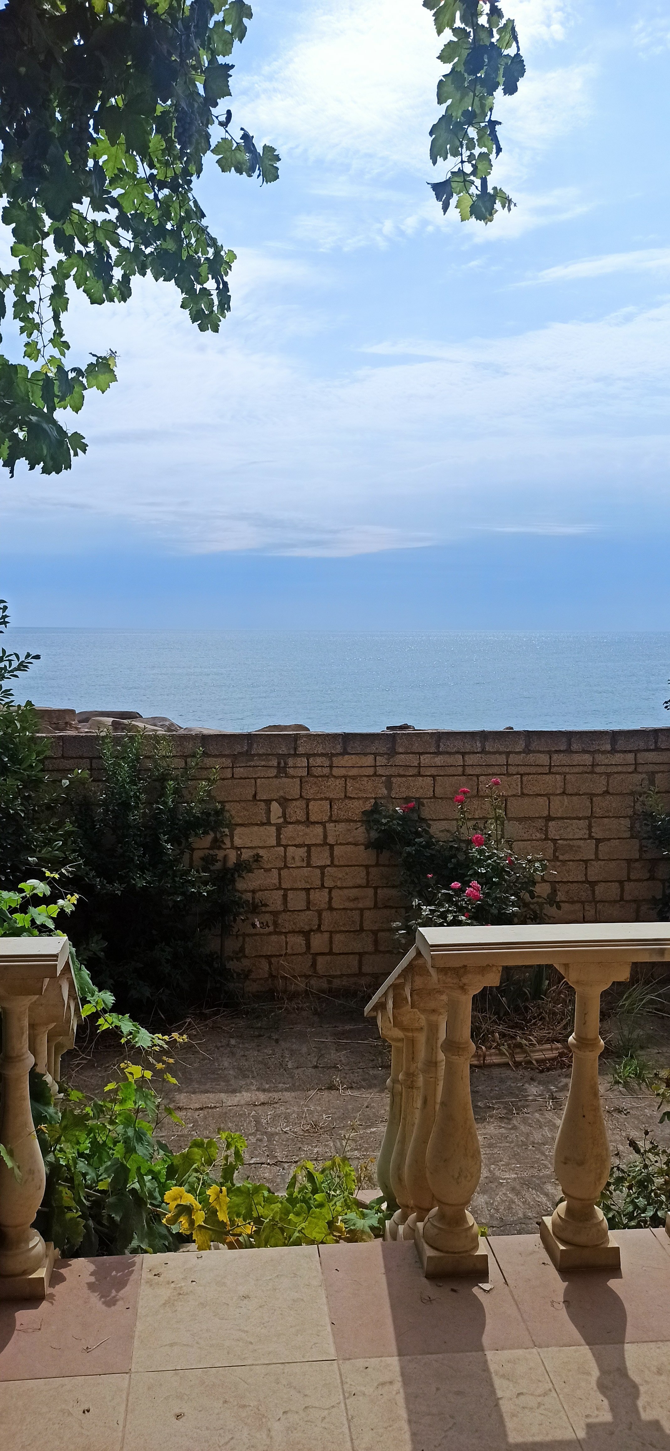 Фото Тихая гавань на косе