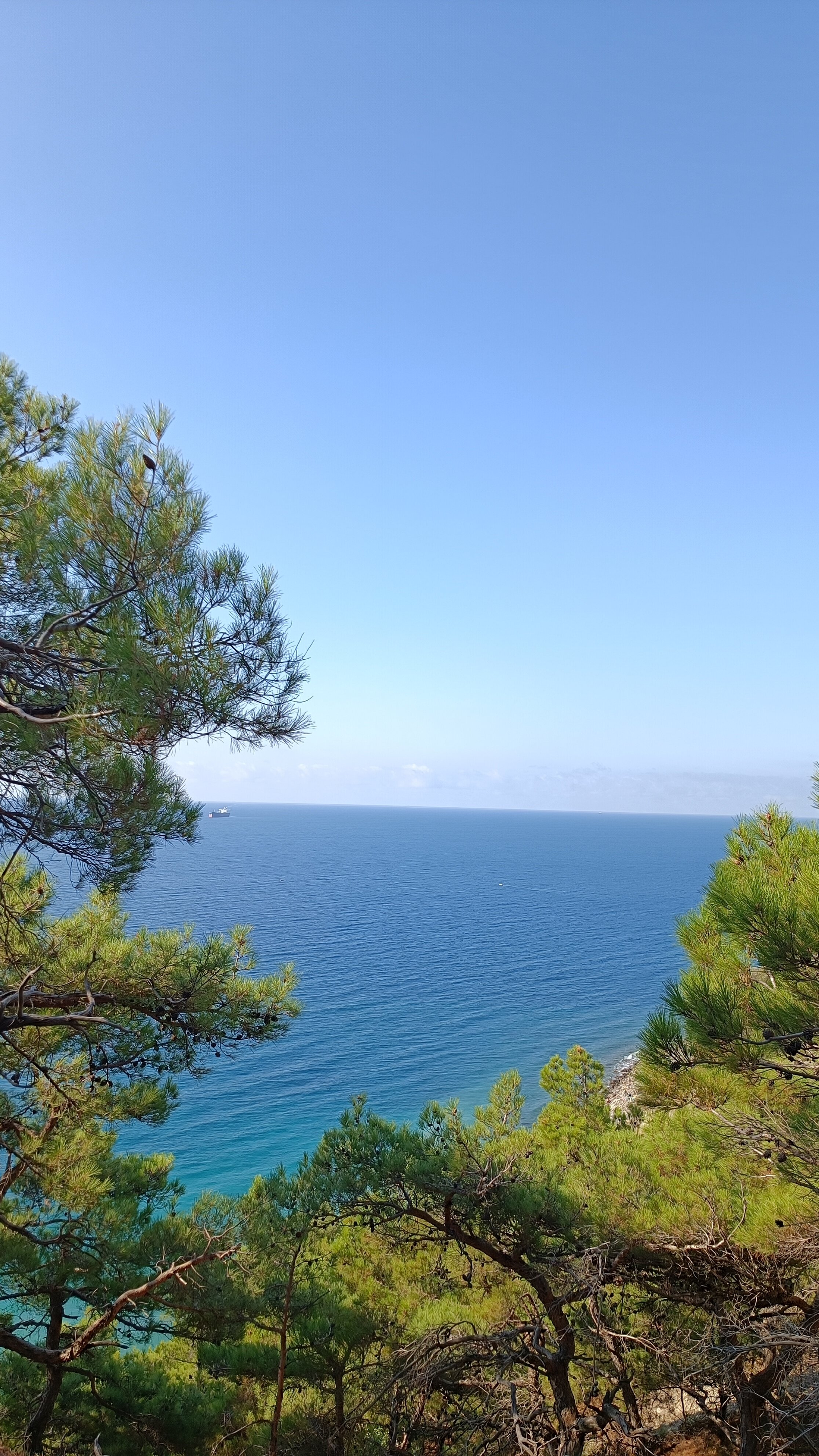 Фото ВИВА Виктория