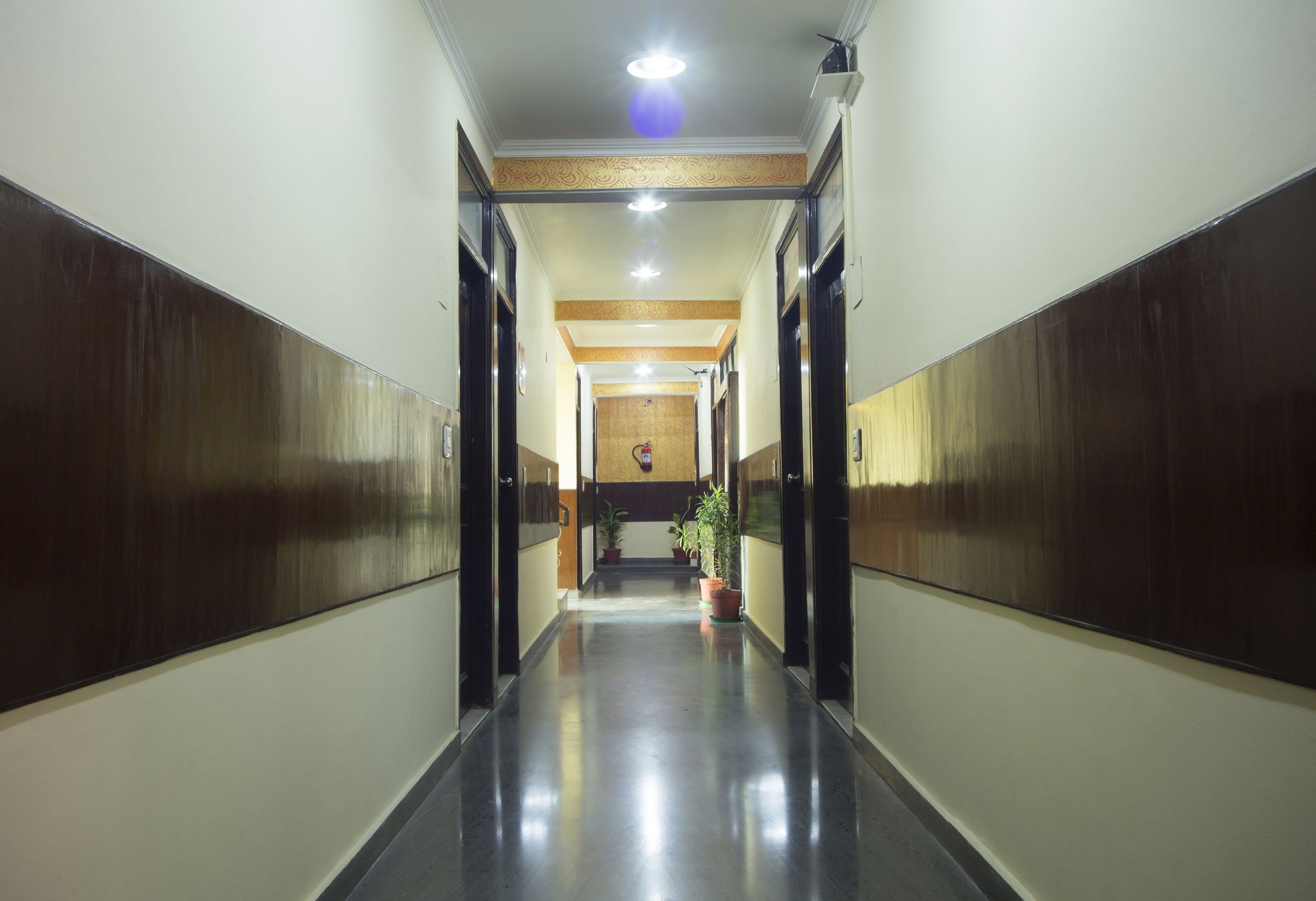 Фото Airport Hotel Olive & Blue