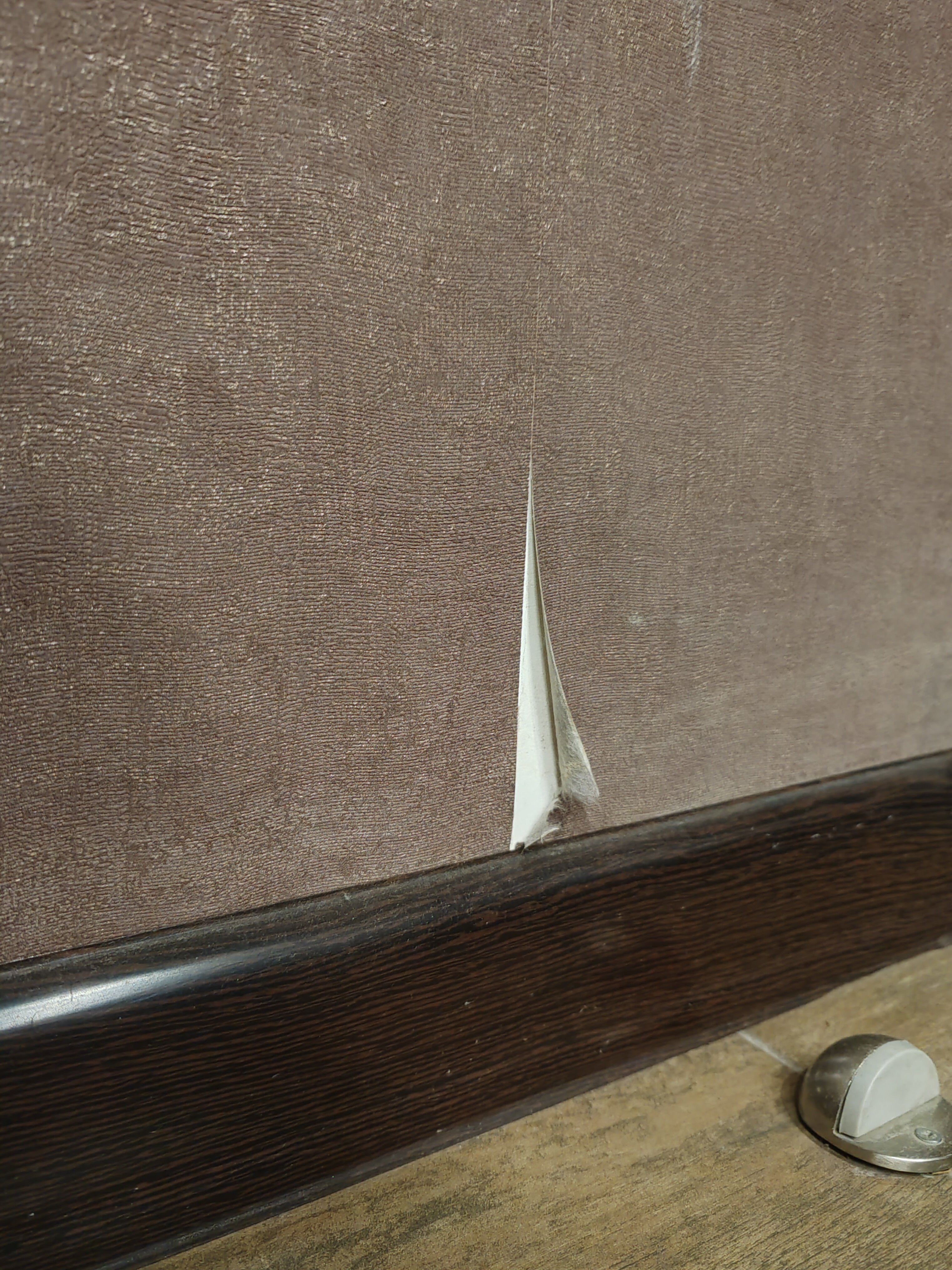 Фото Гостиница Эридана