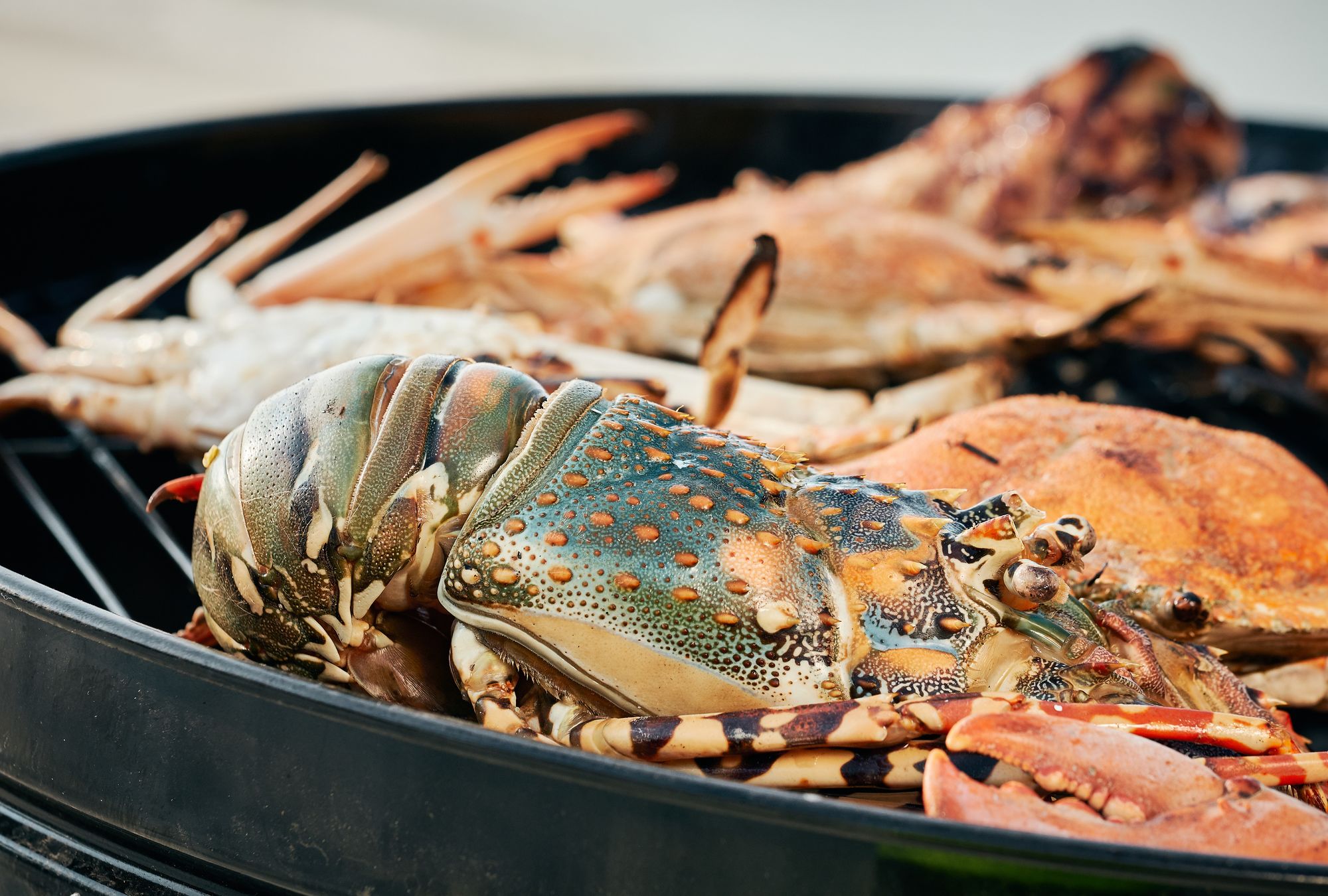 Фото Premier Village Phu Quoc Resort - Managed by Accor