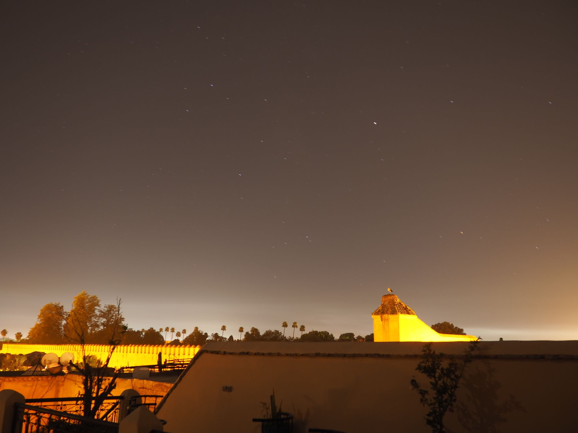 Фото 82502744235