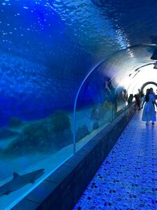 Oceanographic Institute of Nha Trang (Khanh Hoa Province, Nha Trang), museum