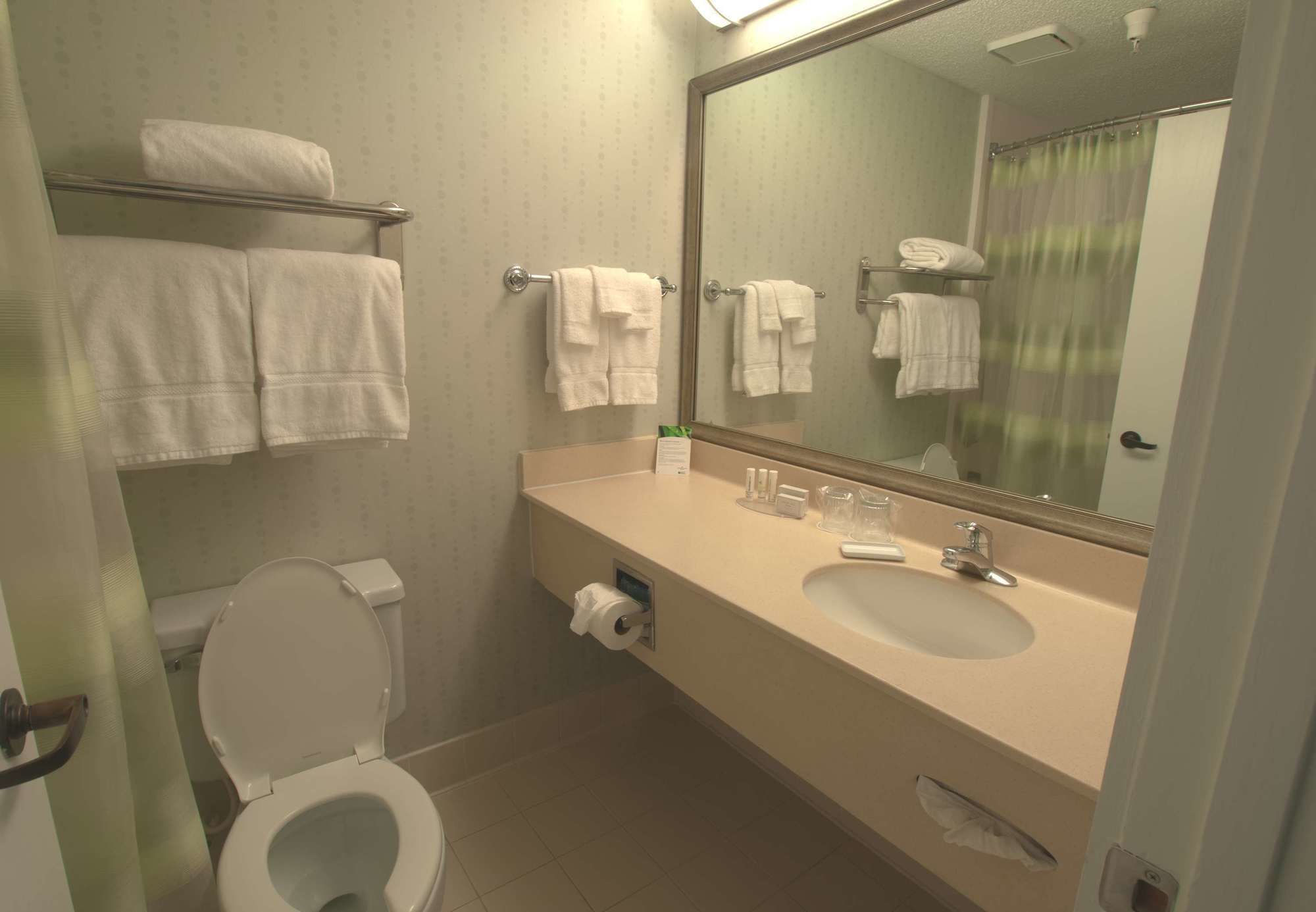 Фото SpringHill Suites Houston Medical Center/NRG Park