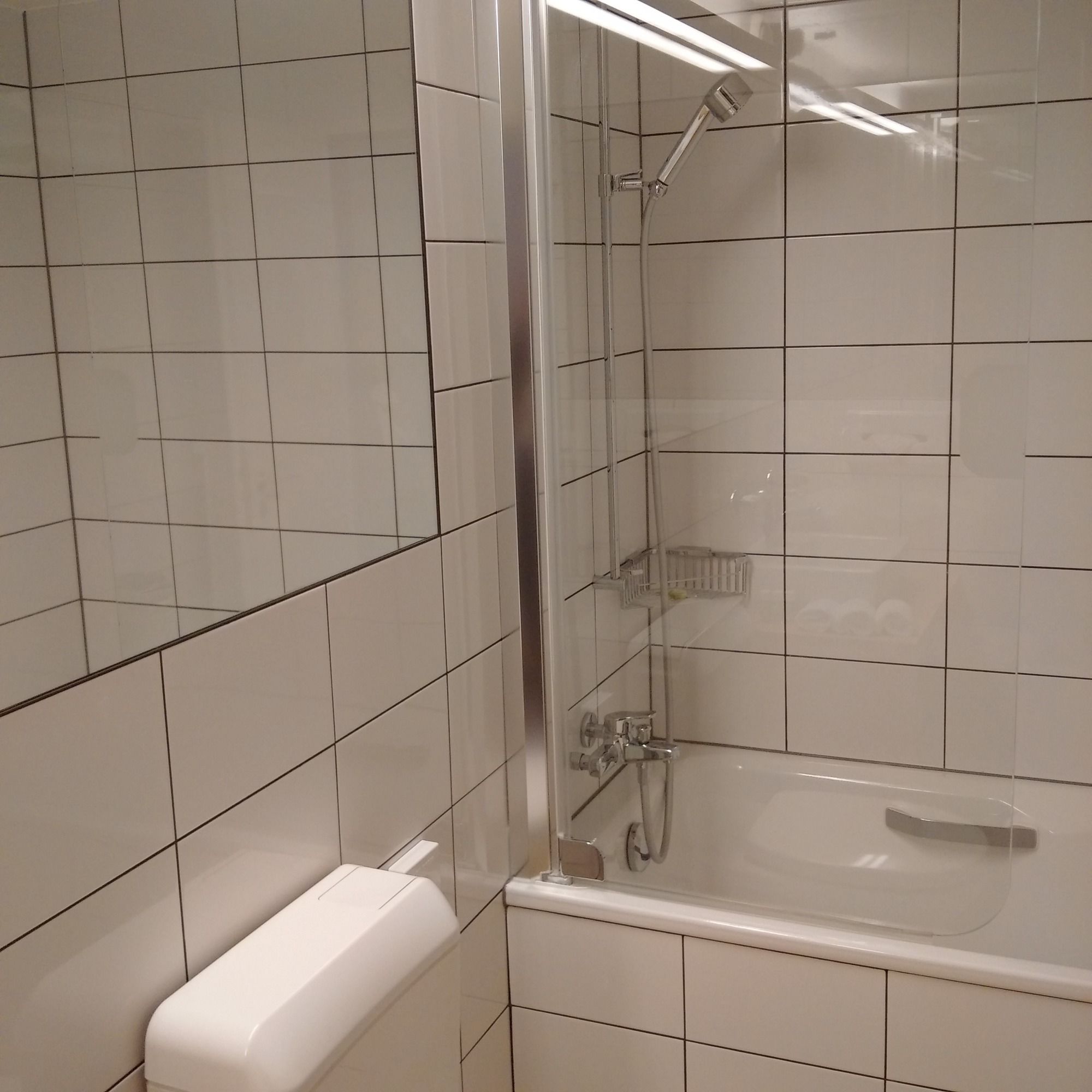 Фото Hotel Des Alpes