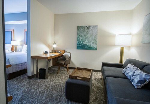 Гостиница Springhill Suites by Marriott Winston-Salem Hanes Mall в Уинстон-Сейлеме