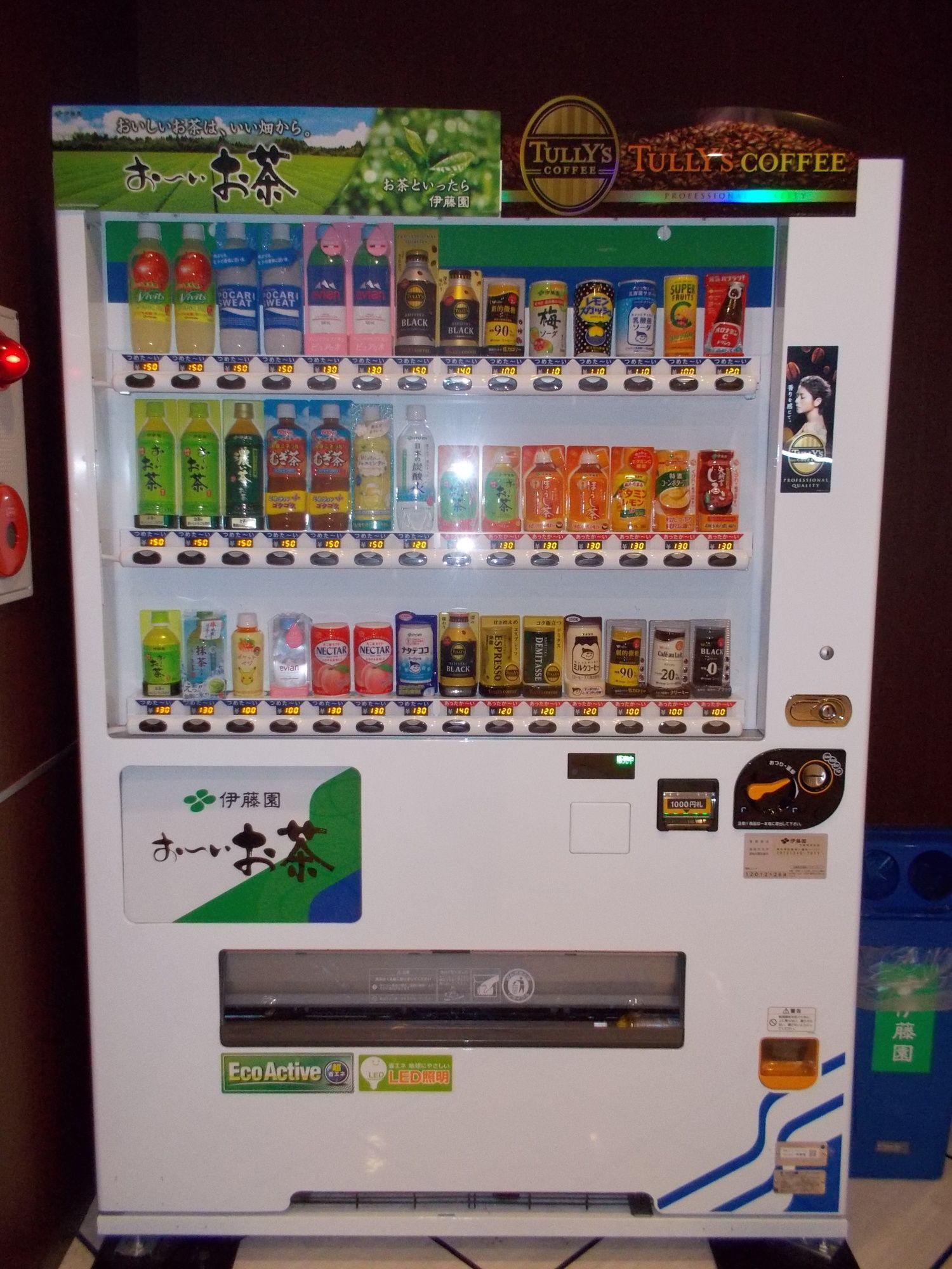 Фото Hotel Chuo Oasis