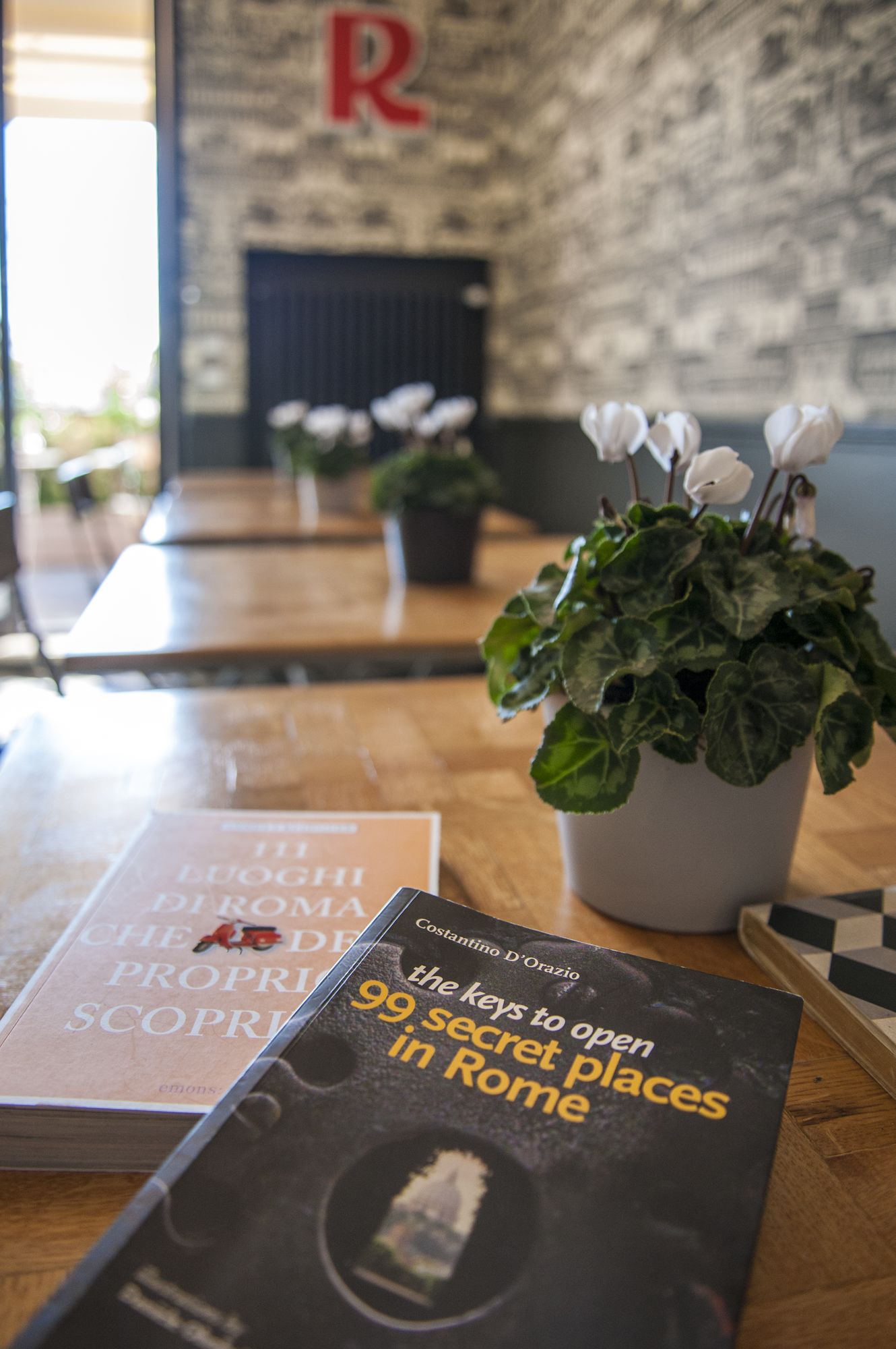 Фото Rarity Suites