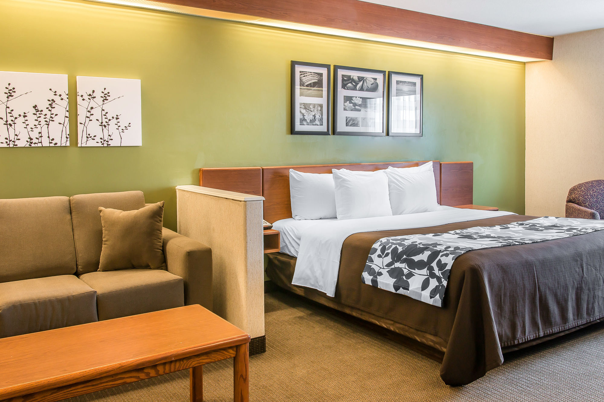 Фото Sleep Inn And Suites Oregon