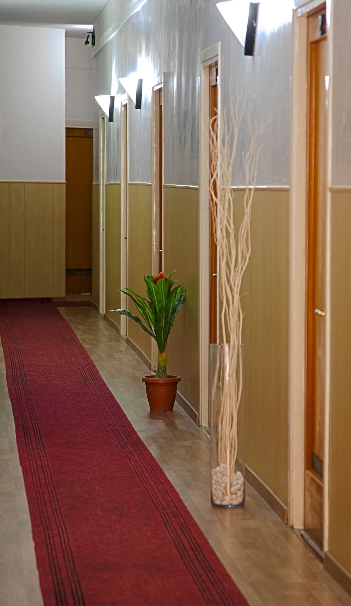 Фото Hotel Riviera