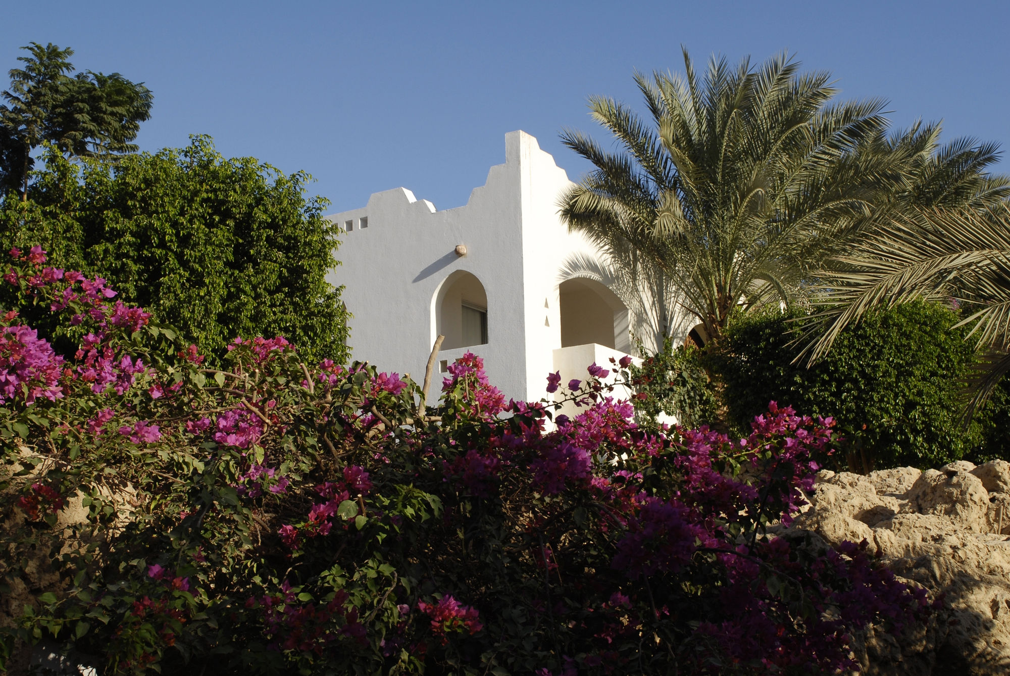 Фото Domina Coral Bay Elisir