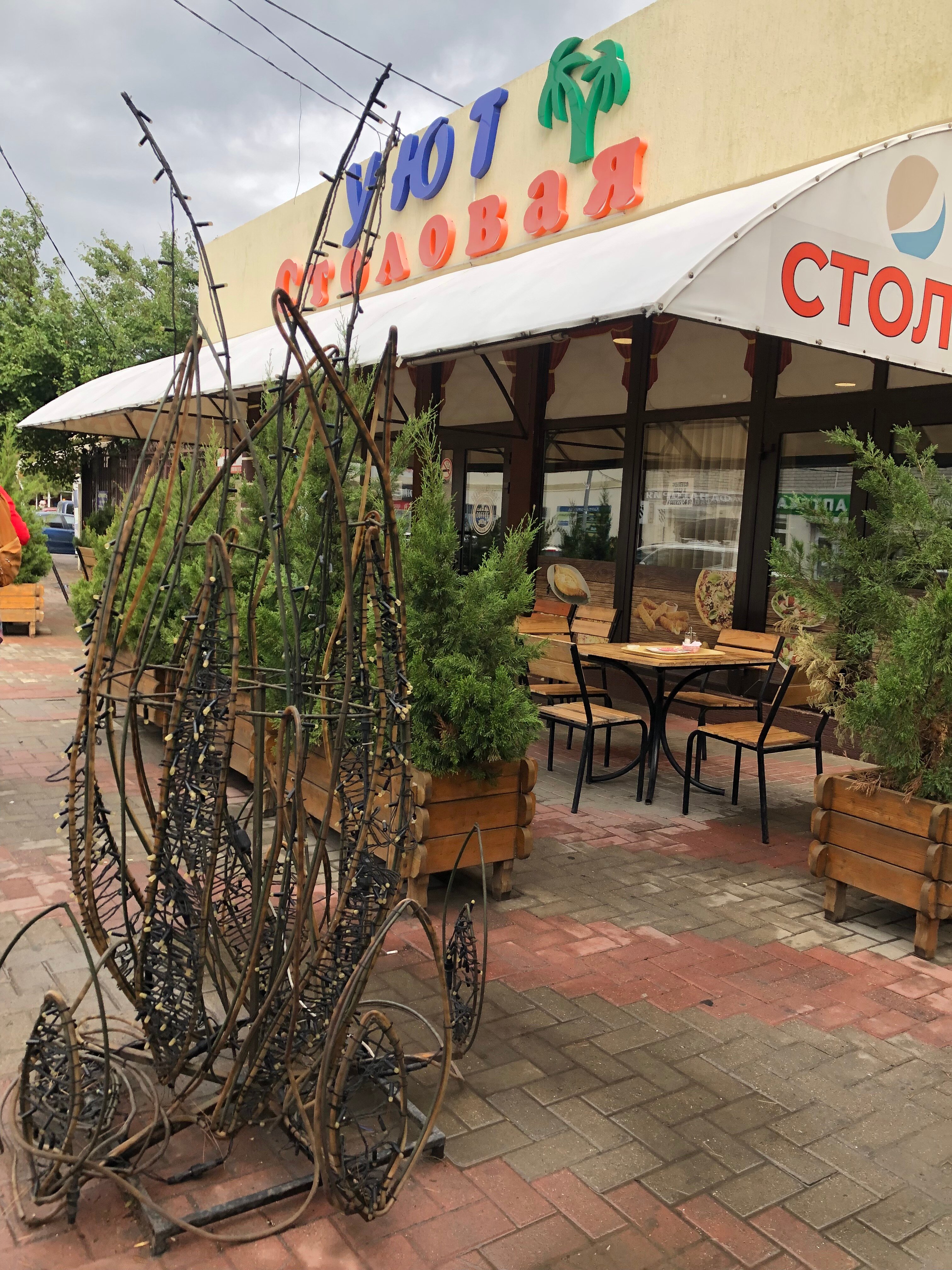 Фото Фиеста