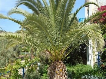 Фото Creta Sun Hotel Studios