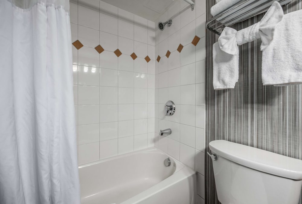 Фото Coast Calgary Downtown Hotel & Suites by Apa