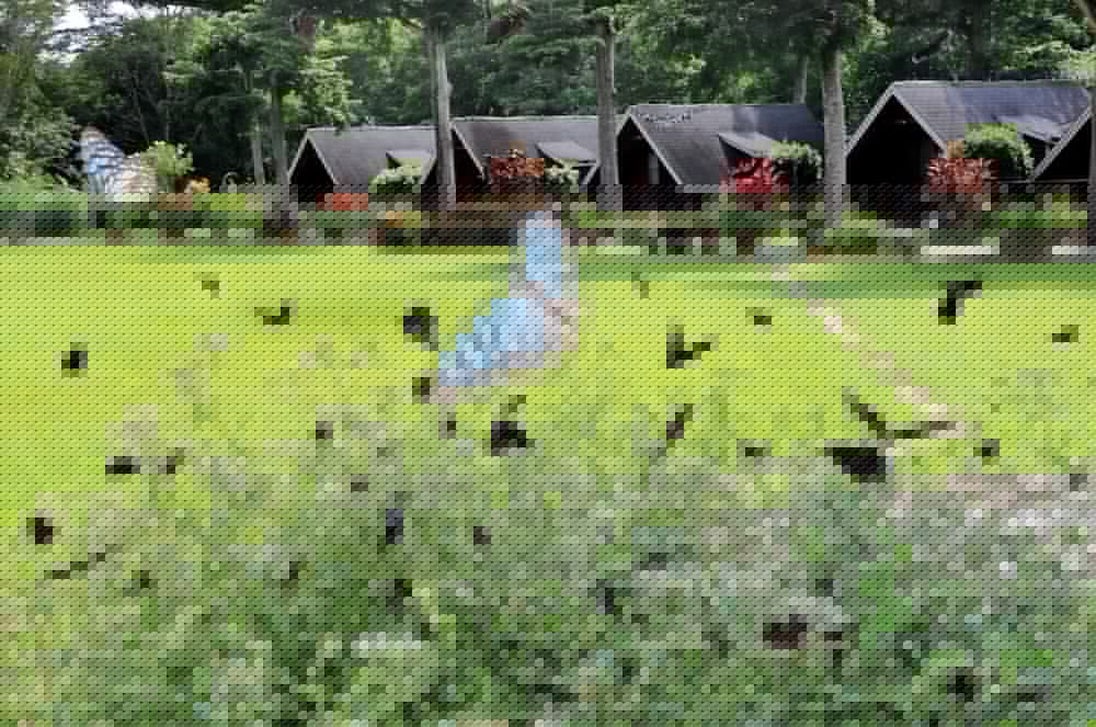 Фото Atunas Holiday Country