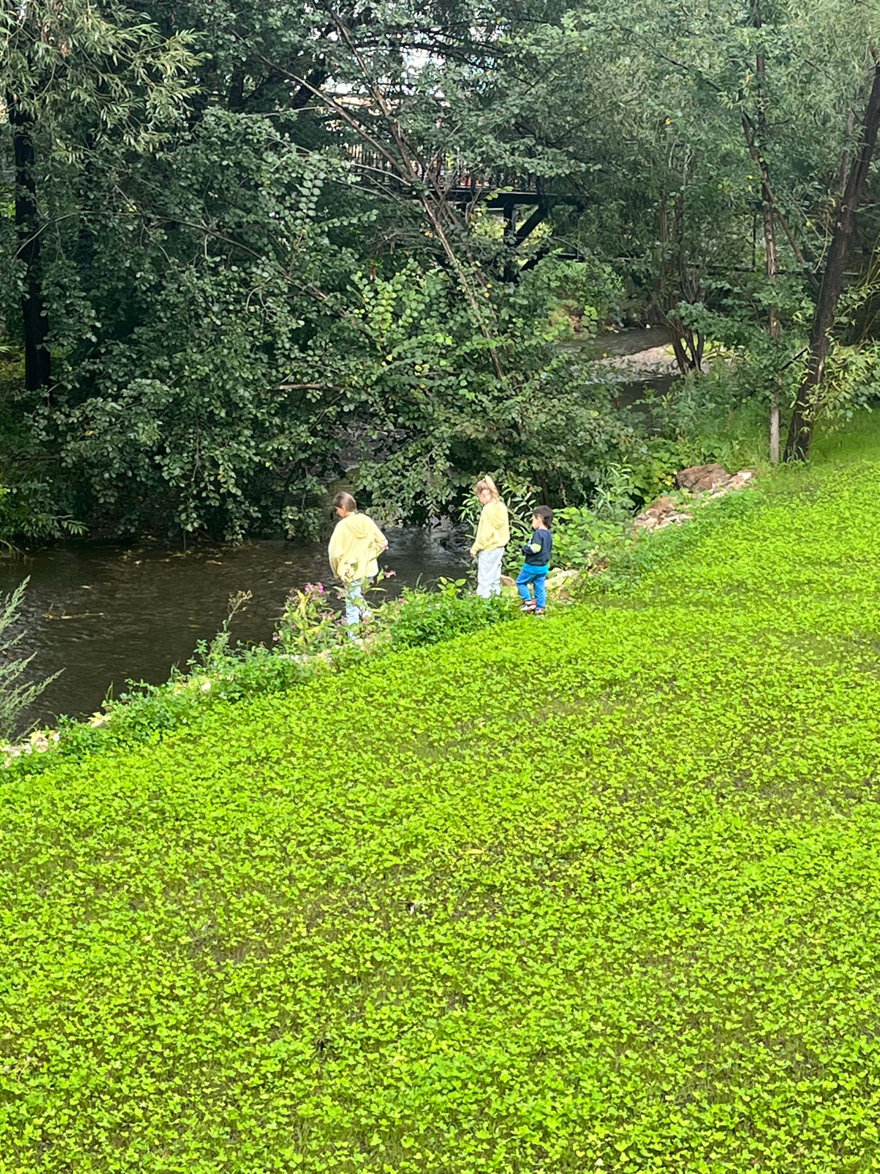 Фото В гостях у Эмилии