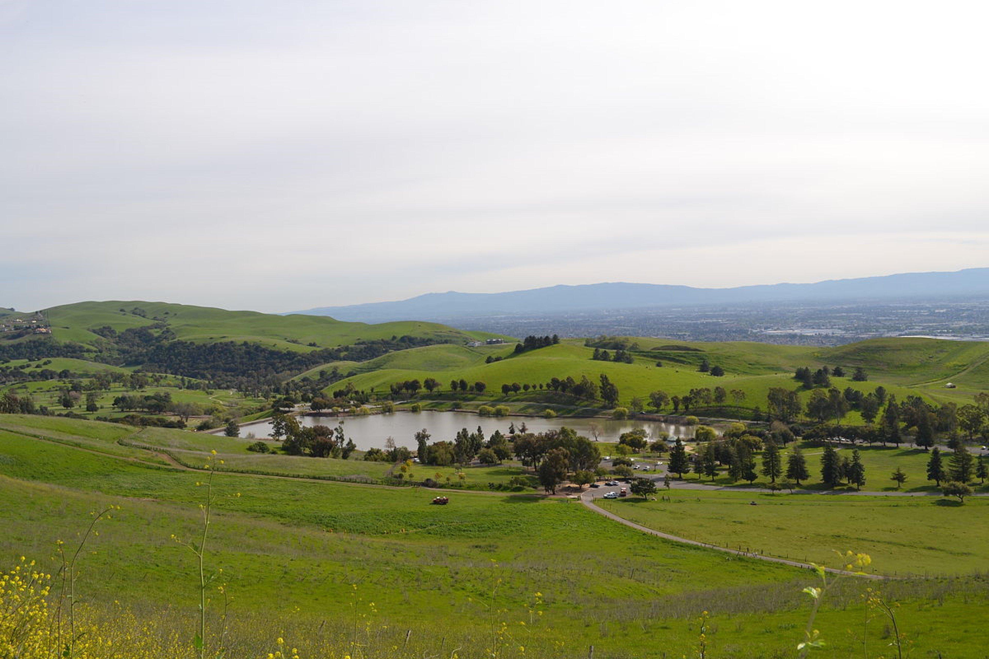 Фото Staybridge Suites Silicon Valley, an Ihg Hotel