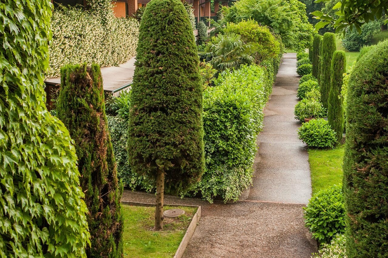 Фото Park Hotel Principe