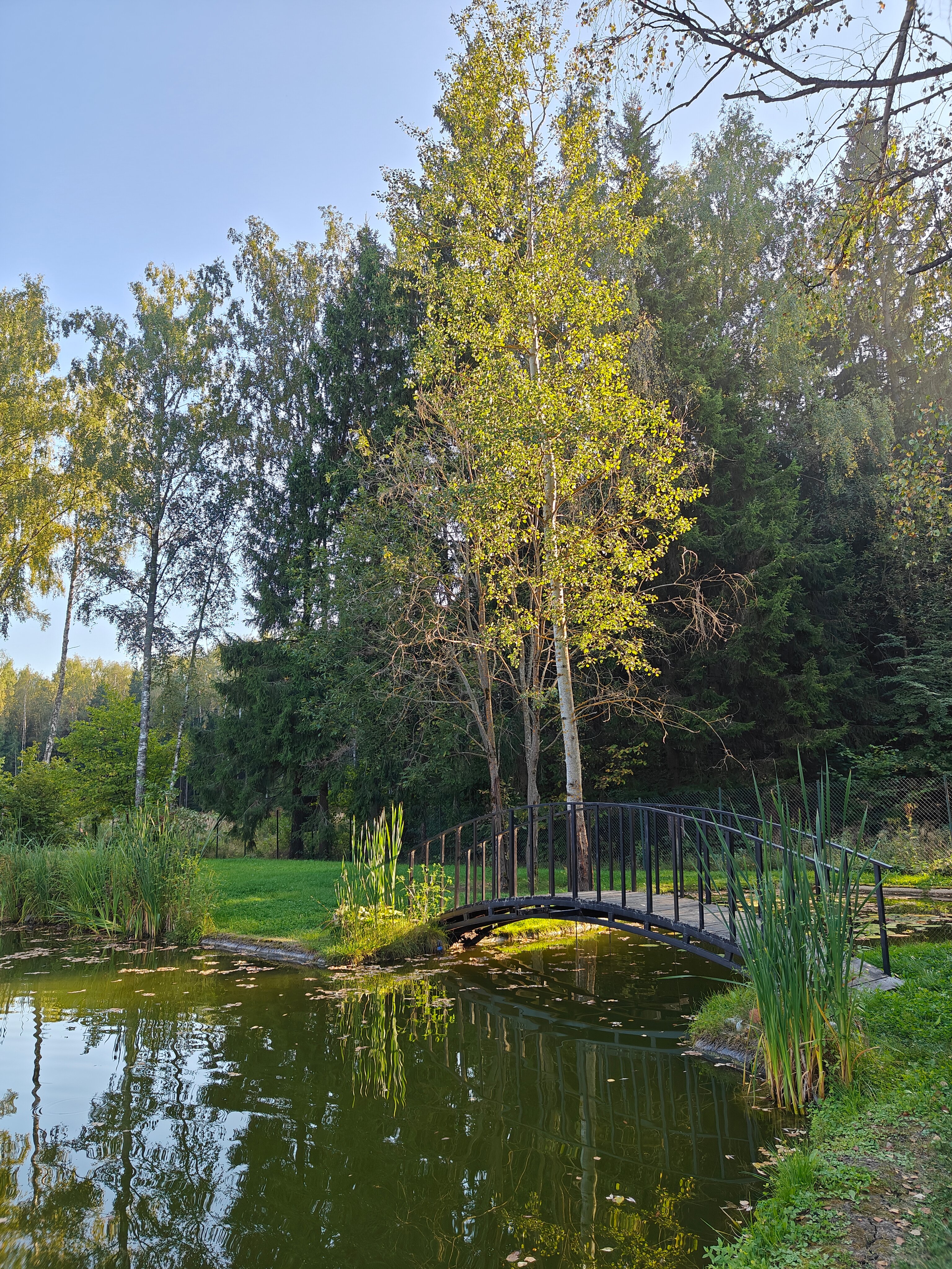 Фото Уютный домик в лесу у пруда