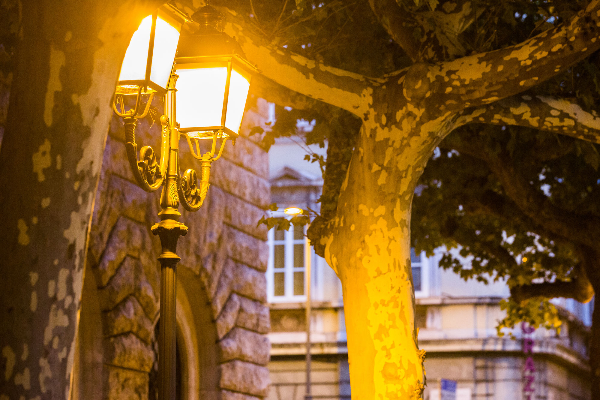 Фото Rooms Boutique Carducci