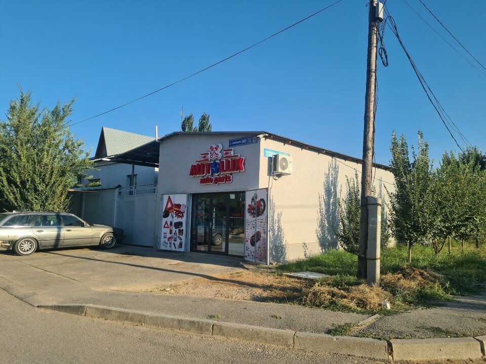 Auto parts and auto goods store AutoLux, Chimkent, photo