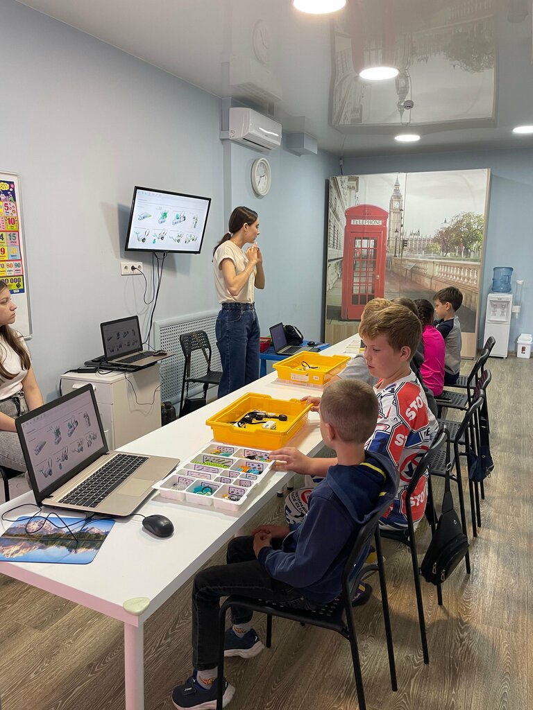 Sale and rental of commercial robots Stemgrade, Barnaul, photo