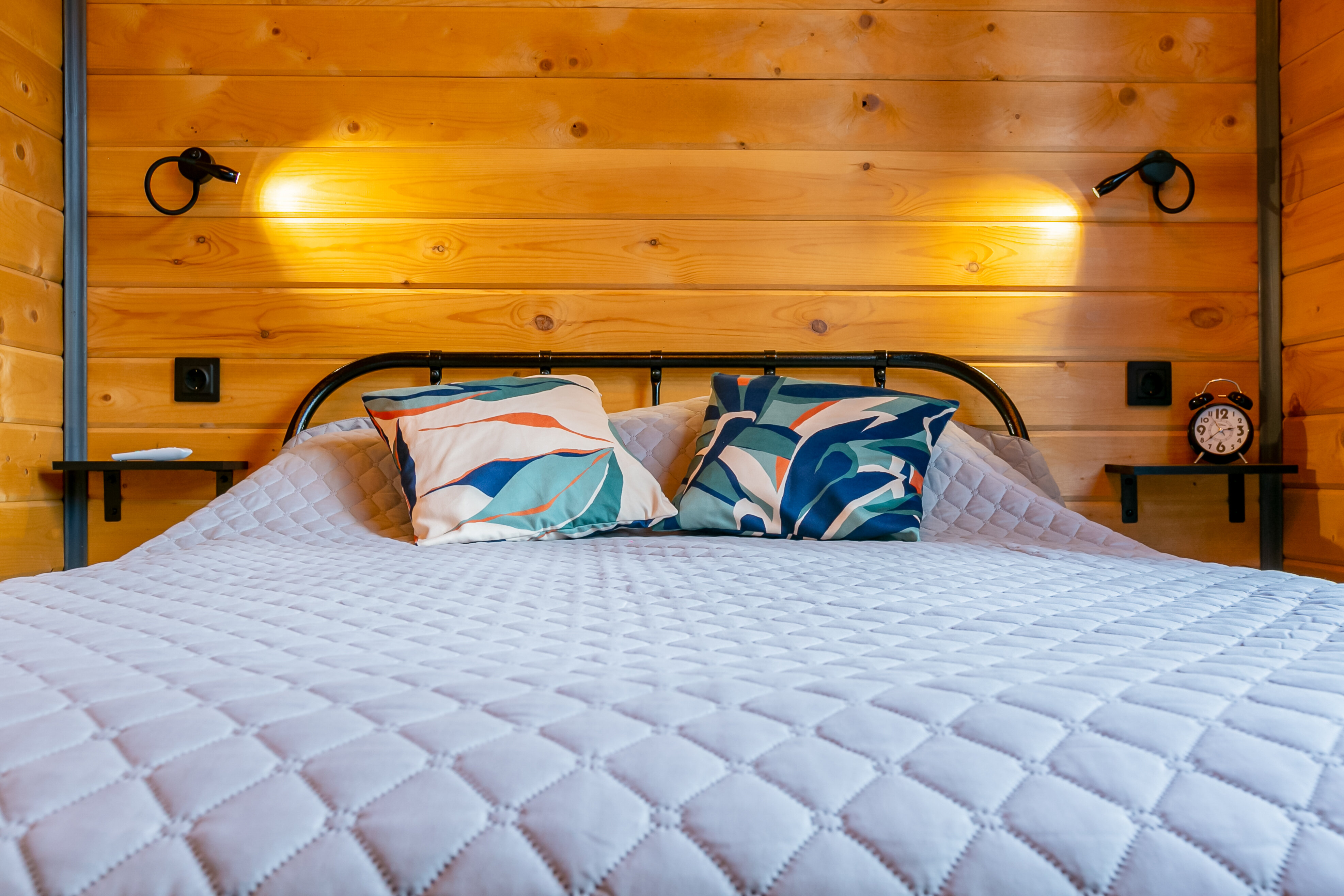 Фото Шелест