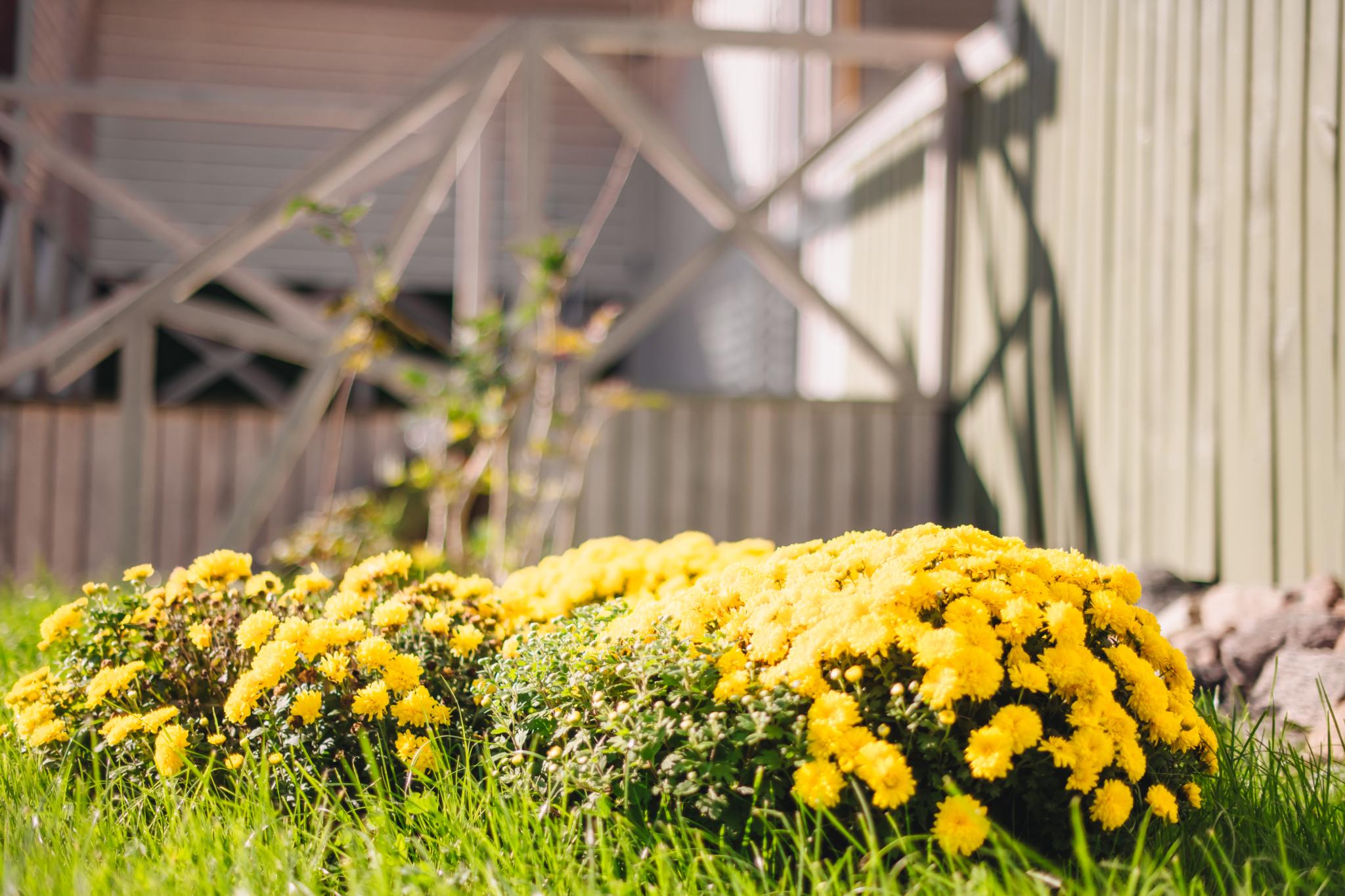 Фото Тихая гавань