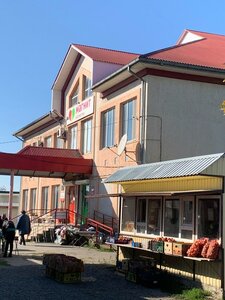 Стебли