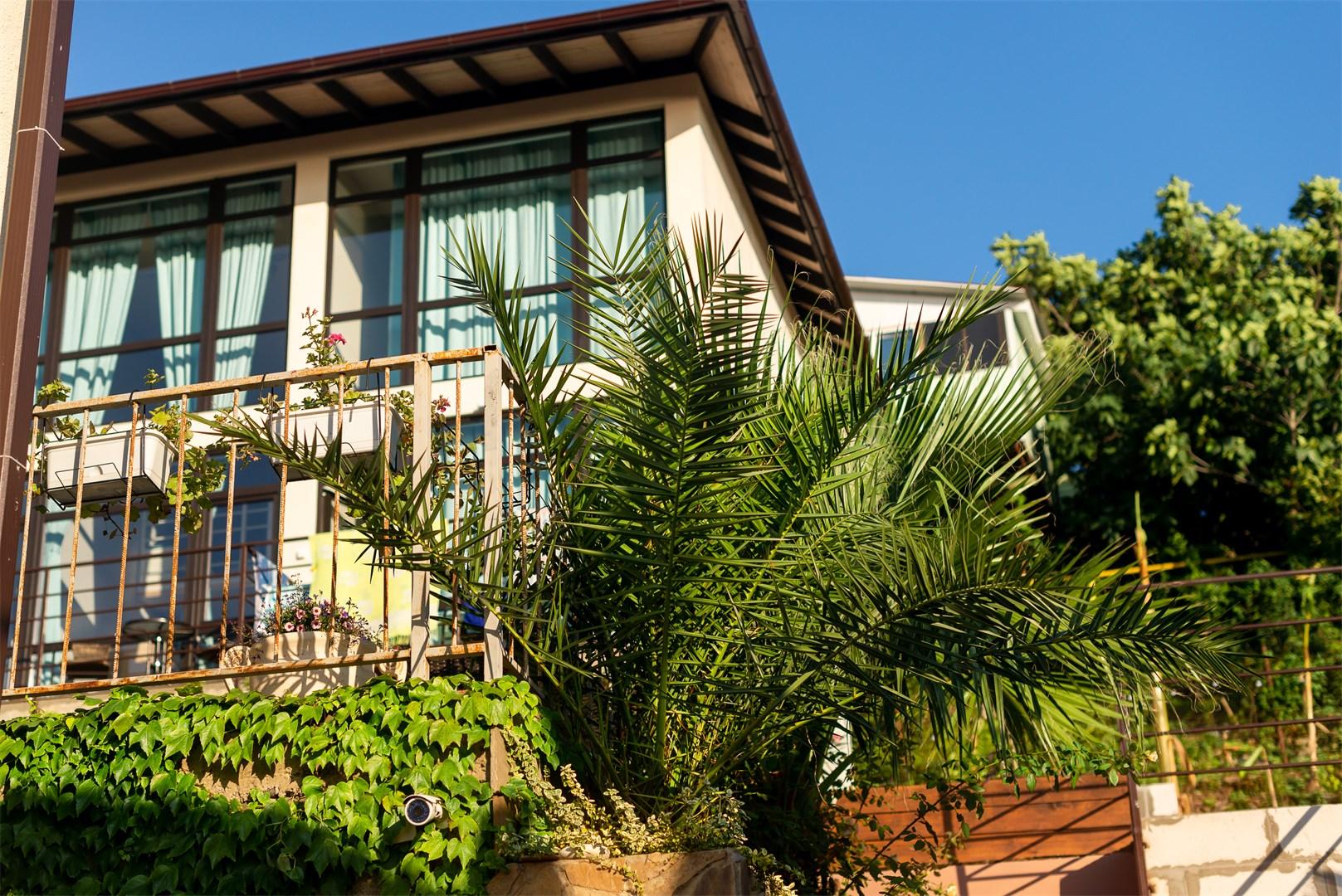 Фото Камбала