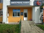 Цветочная лавка (praspiekt Budaŭnikoŭ, 12), floristeria