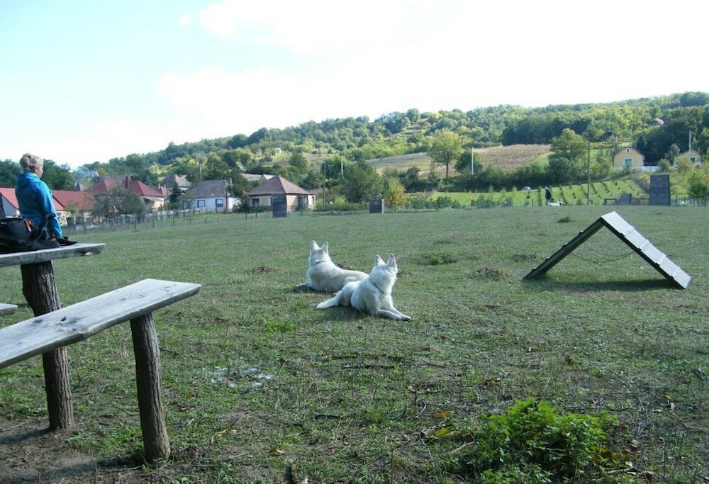 Фото Müllers Ferienhaus Waldhof