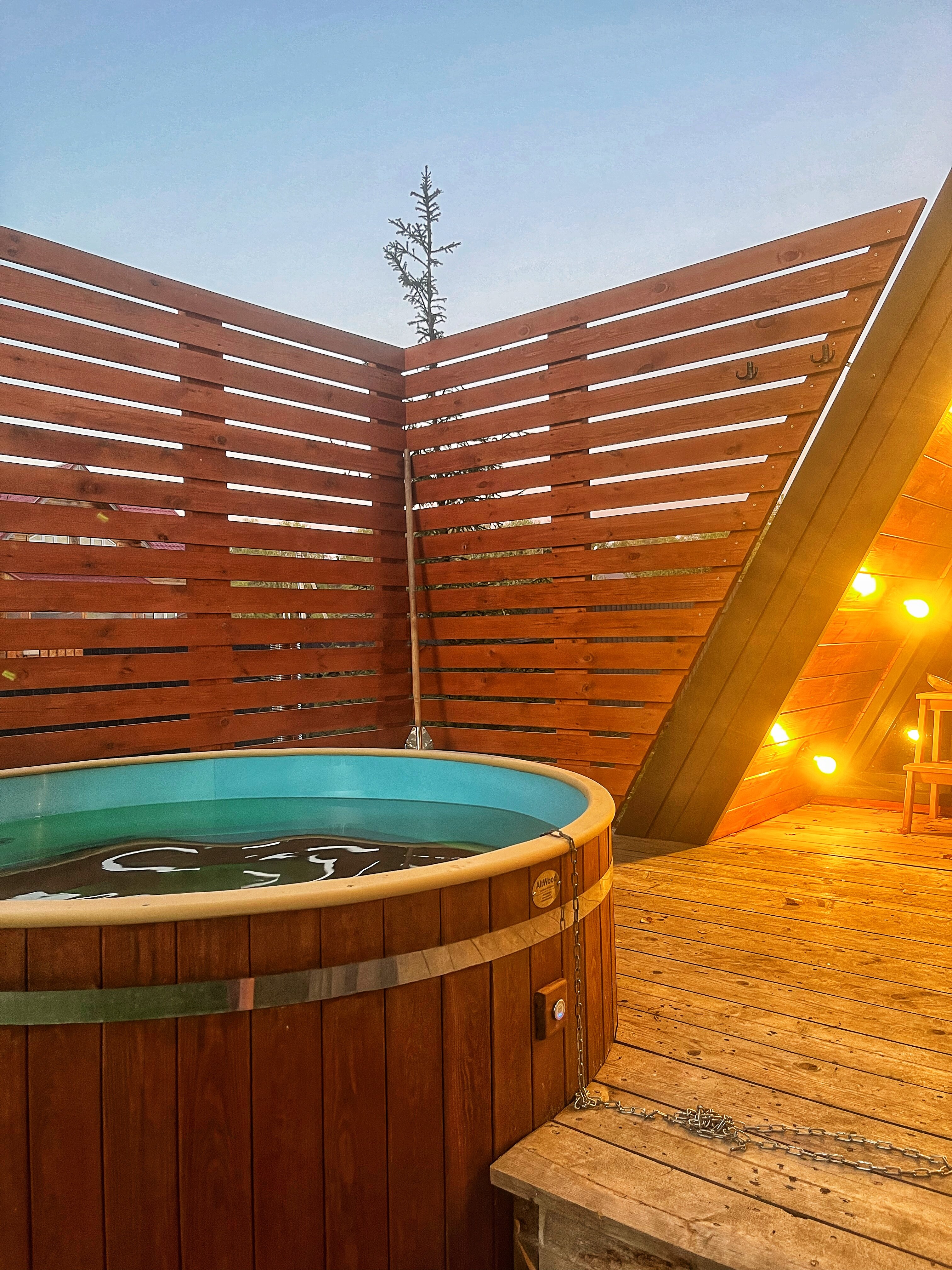 Фото Ильинка лес