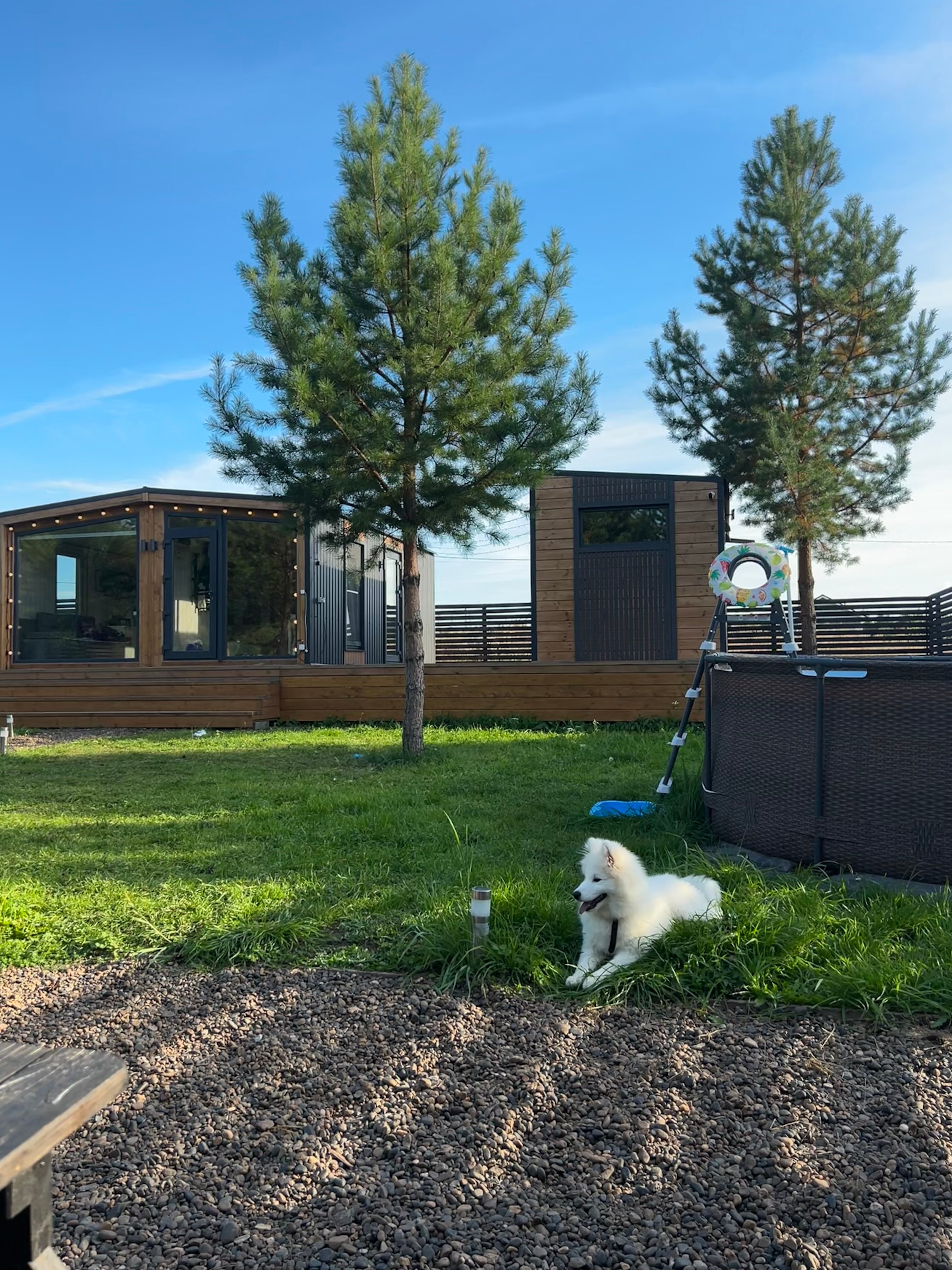 Фото На опушке