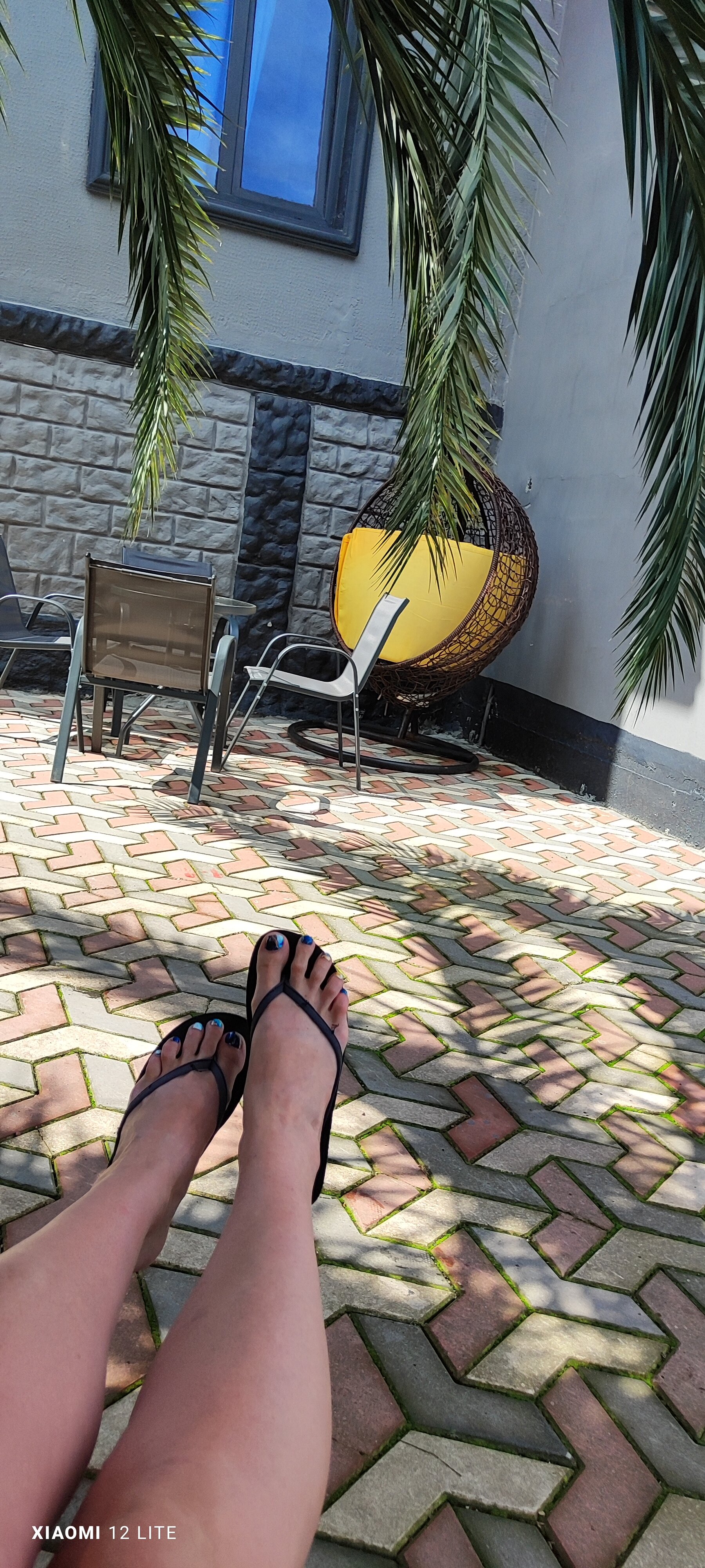 Фото 209409535709