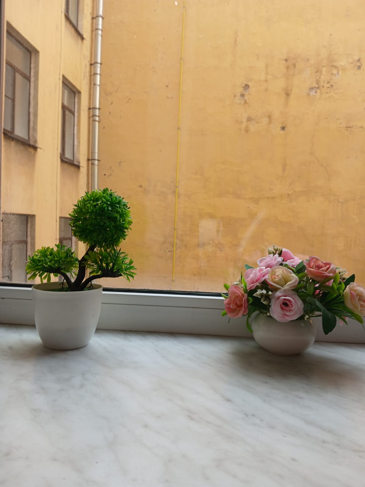 Фото Виктория