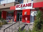 Anitsal Pharmacy (Bursa, Nilüfer, Nilüfer Hatun Cad., 20B) ، صيدلية