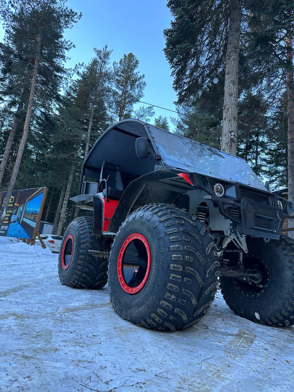 Фото Пихта-парк