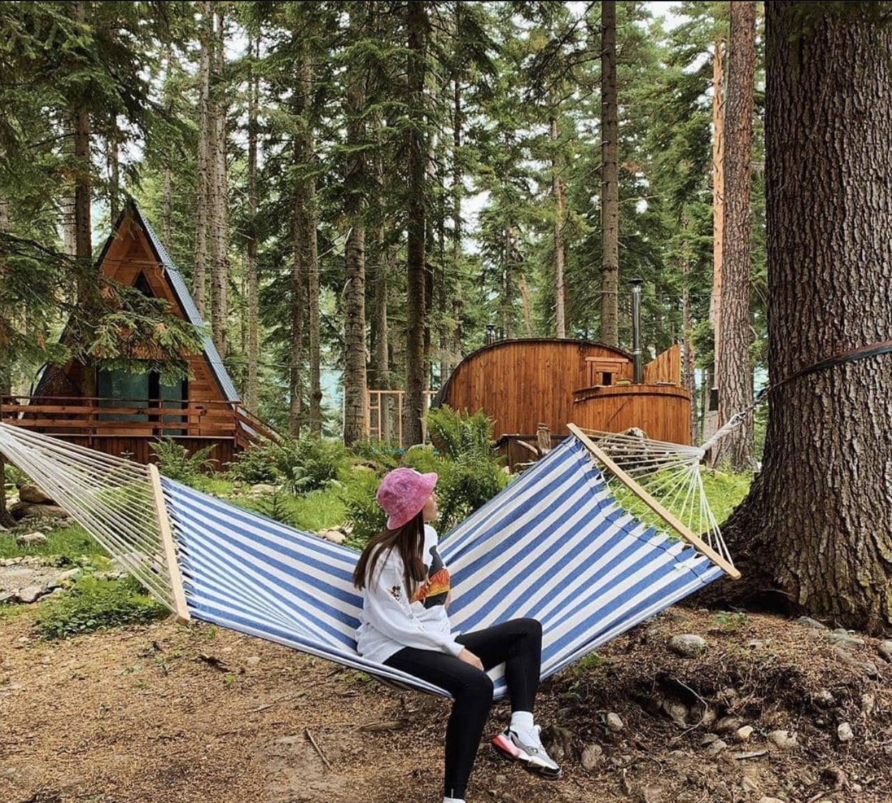 Фото Ёлки House